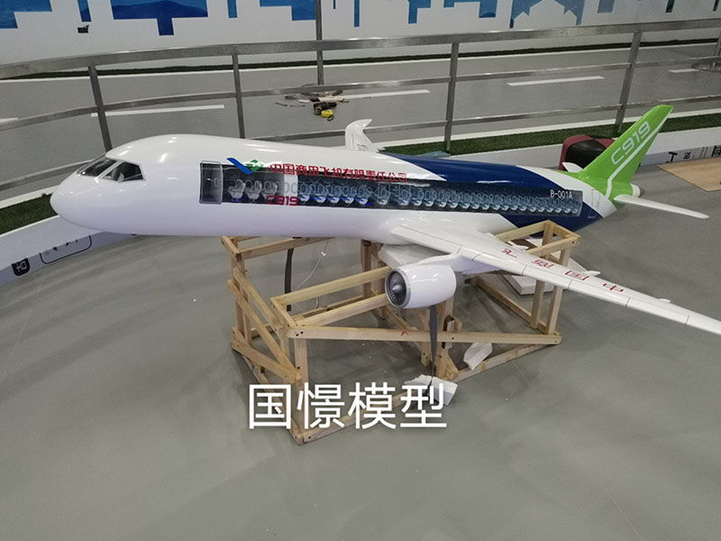 上杭县飞机模型